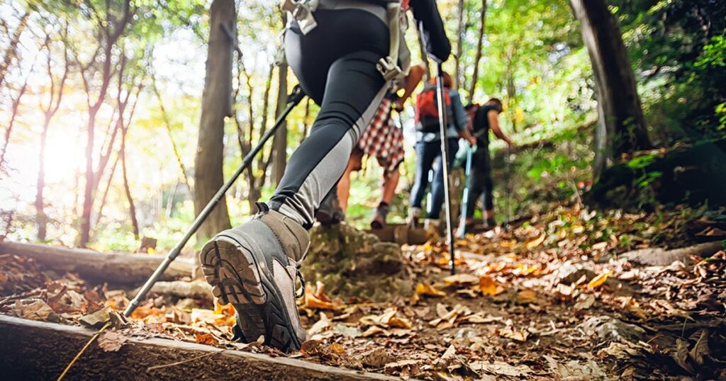randonneur en forêt